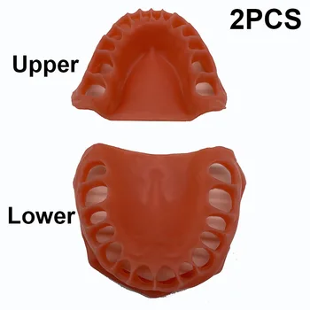 Dantų Guma modelis viršutinė/apatinė Imituojamas dantenų Dentisit Studentų Mokymosi, Mokymo Modelį