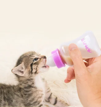 PET butelis kačiukas, šuniukas, minkštas žindukas naujagimiams kačiukas, šuo, triušis specialus krūties finansuojančiojo katė produktus